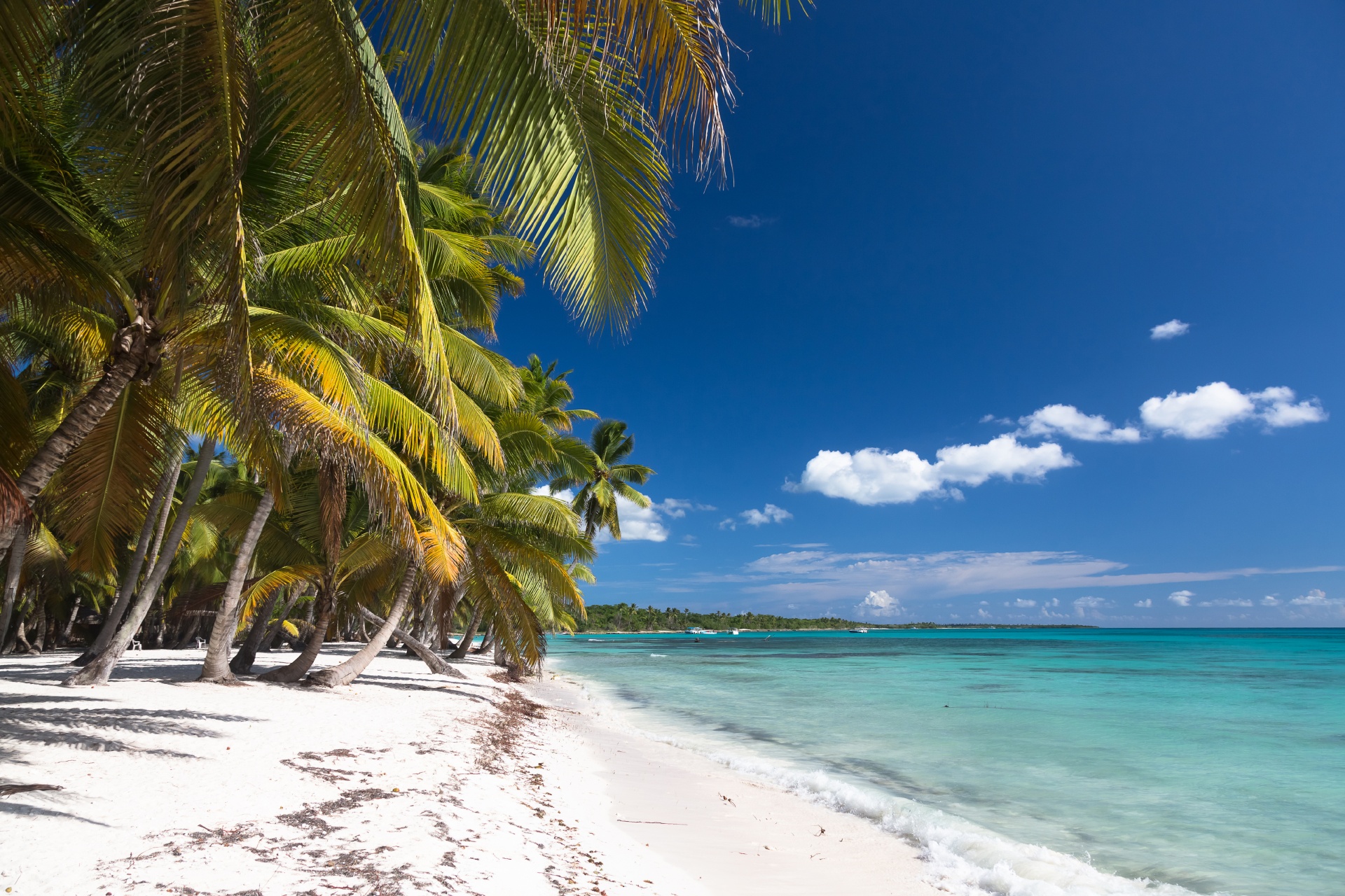 美しいカリブ海のビーチ　ドミニカ共和国サオナ島