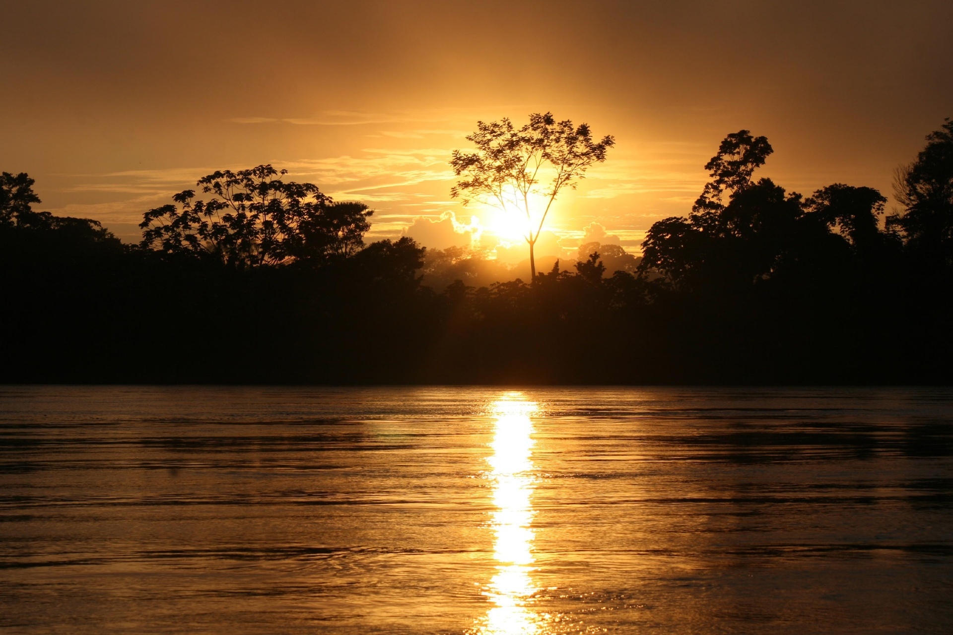 アマゾンの熱帯雨林に昇る朝日　ペルー