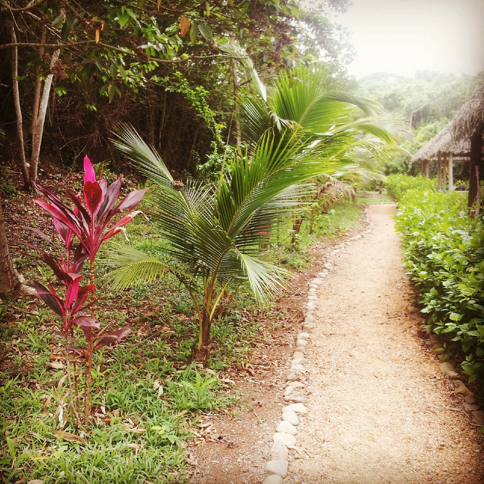 ベリーズの風景 World Web Magazine 世界の美しい風景